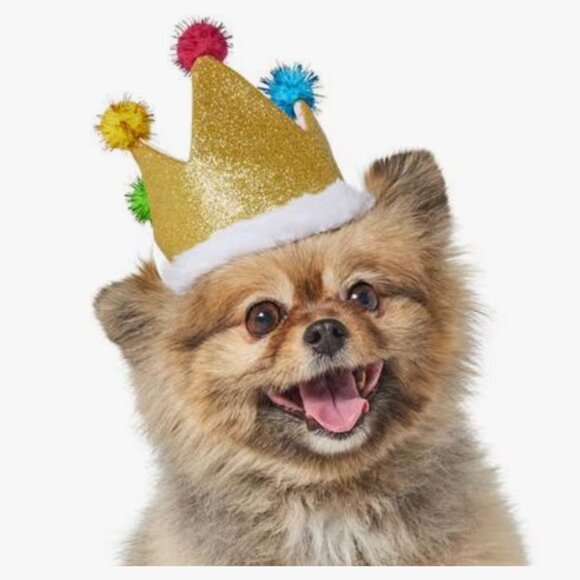 NEW WITH TAGS Frisco Birthday Glitter Crown Dog & Cat Hat, X-Small/Small - Picture 2 of 4
